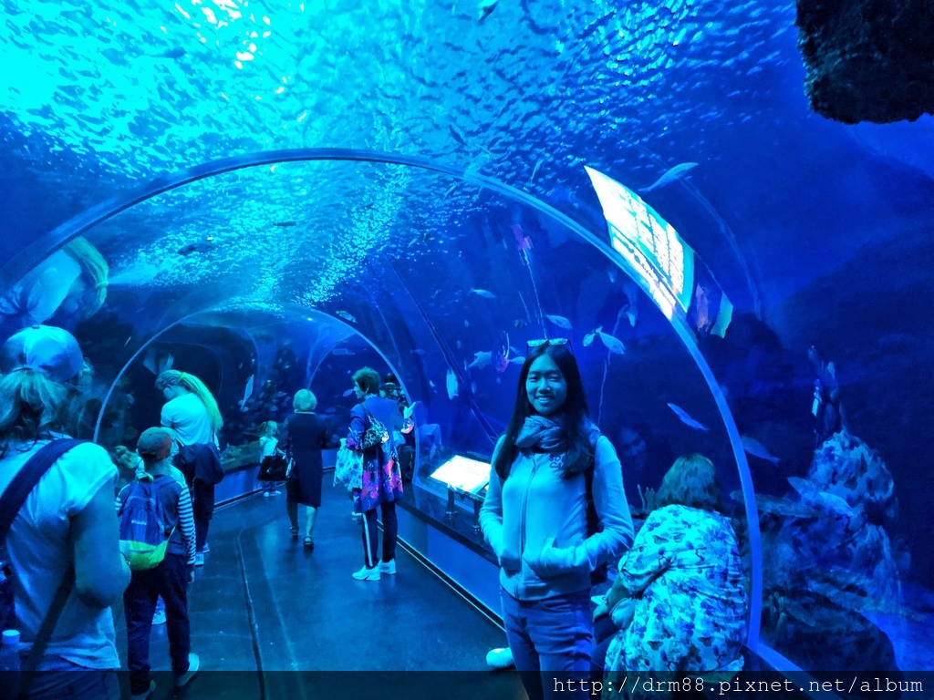 【俄羅斯海參崴 水族館】海參崴自由行,海參崴水族館,海參崴親子景點,俄羅斯島必遊景點＠瑪姬幸福過日子 @瑪姬幸福過日子