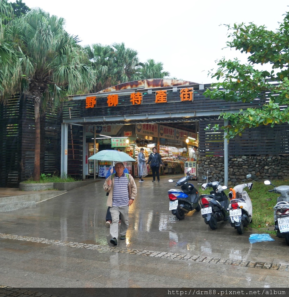 【北海岸一日遊】野柳地質公園,野柳風景區,必看女王頭,IG打卡點,新北萬里景點新北萬里景點,@瑪姬幸福過日子 @瑪姬幸福過日子