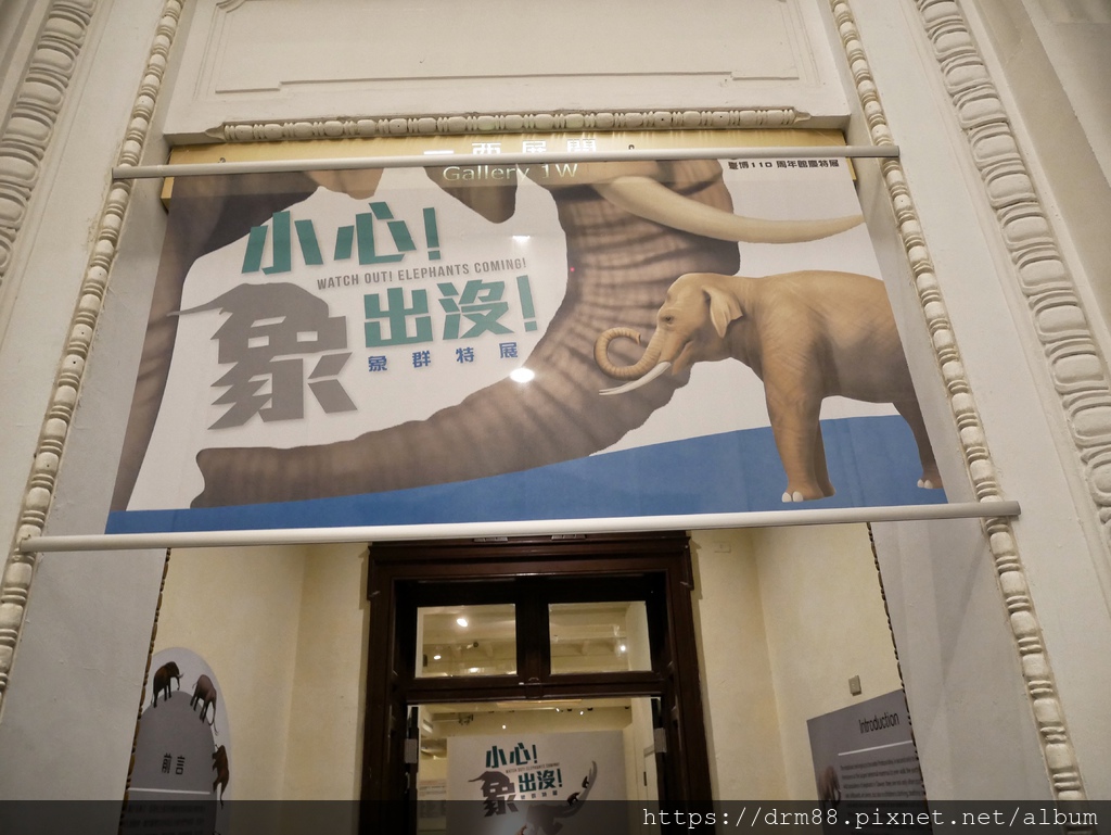 台北一日遊,國立台灣博物館,228公園,台大公園站景點,交通＠瑪姬幸福過日子 @瑪姬幸福過日子