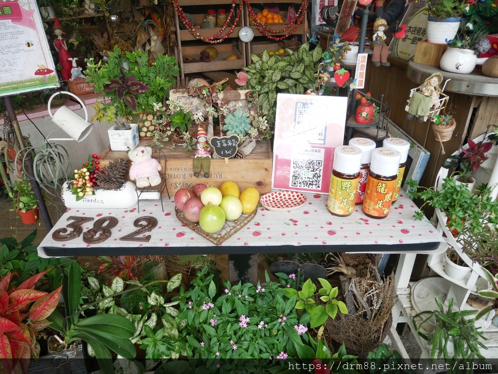 內湖草莓季｜台北採草莓一日遊，莓圃觀光休閒果園採草莓，交通，價位，台北親子景點推薦 @瑪姬幸福過日子