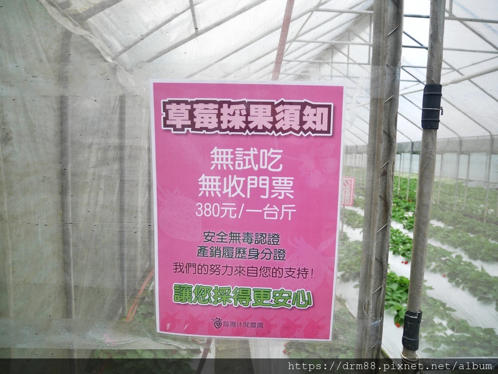 內湖草莓季｜台北採草莓一日遊，莓圃觀光休閒果園採草莓，交通，價位，台北親子景點推薦 @瑪姬幸福過日子