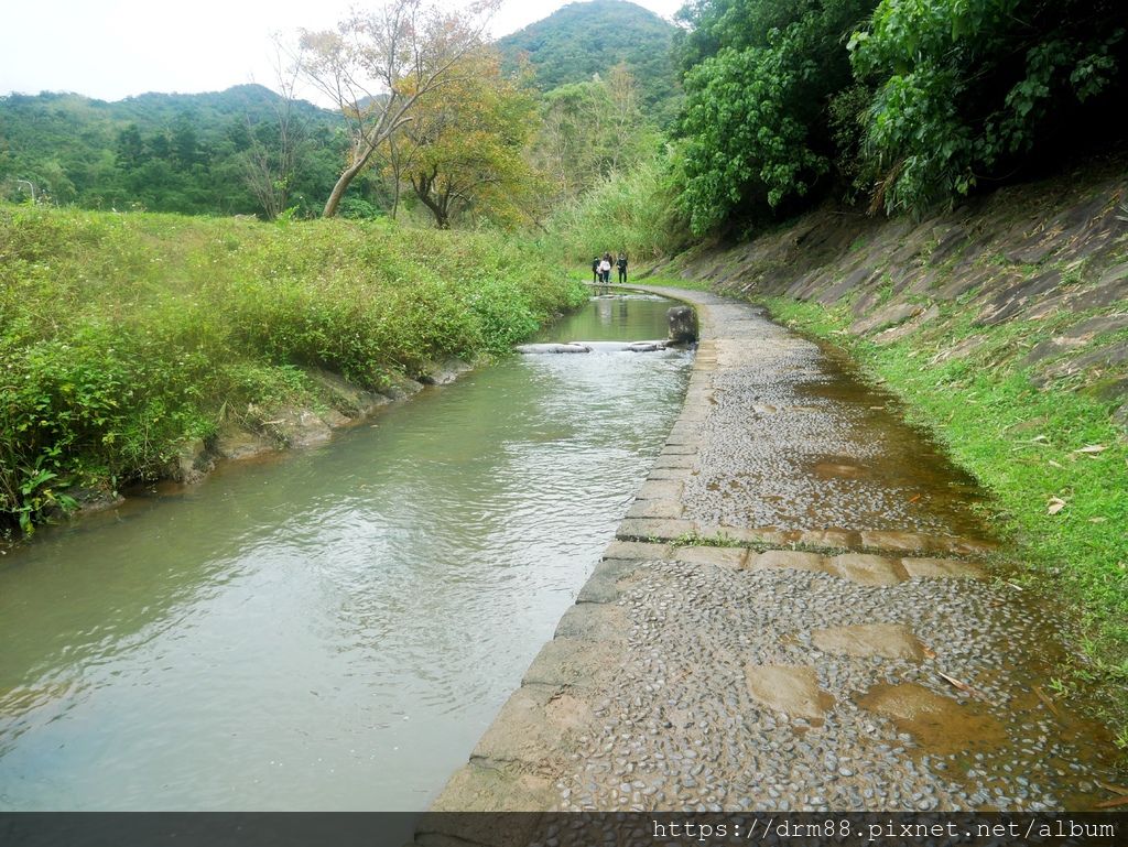 台北內湖一日遊｜內湖大溝溪親水公園步道花海已經開始了，免費景點，放假親子踏青郊遊野餐，可賞蝶，內湖縱走！ @瑪姬幸福過日子