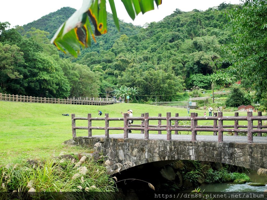 台北內湖一日遊｜內湖大溝溪親水公園步道花海已經開始了，免費景點，放假親子踏青郊遊野餐，可賞蝶，內湖縱走！ @瑪姬幸福過日子