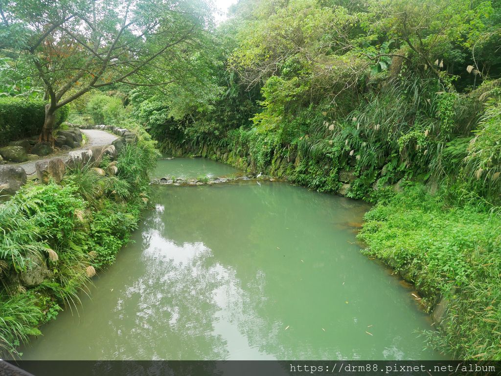 台北內湖一日遊｜內湖大溝溪親水公園步道花海已經開始了，免費景點，放假親子踏青郊遊野餐，可賞蝶，內湖縱走！ @瑪姬幸福過日子