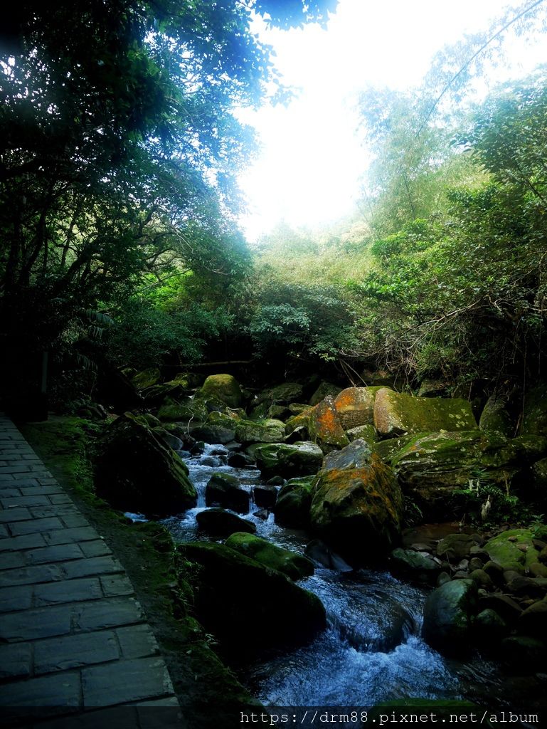 台北內湖一日遊｜內湖大溝溪親水公園步道花海已經開始了，免費景點，放假親子踏青郊遊野餐，可賞蝶，內湖縱走！ @瑪姬幸福過日子