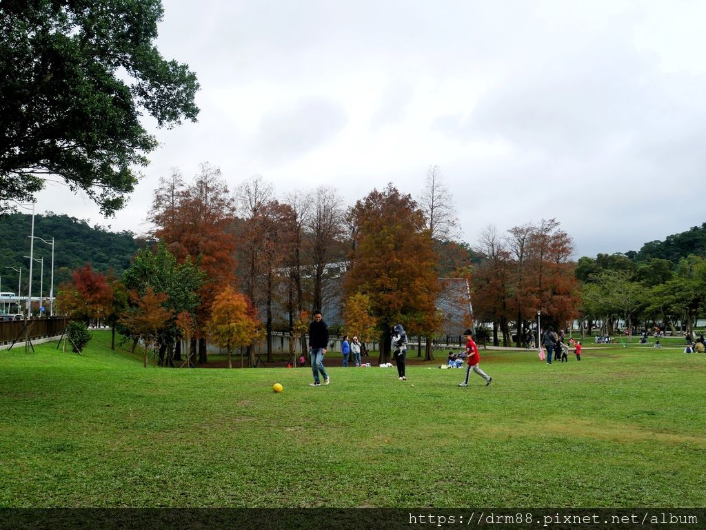 台北內湖一日遊｜內湖大溝溪親水公園步道花海已經開始了，免費景點，放假親子踏青郊遊野餐，可賞蝶，內湖縱走！ @瑪姬幸福過日子