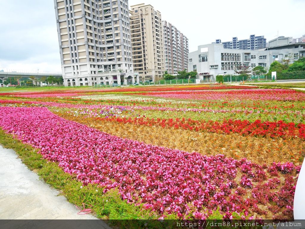 【淡水IG景點】 新北市淡海輕軌怎麼拍,11個幾米車站+2個公車站幾米裝置藝術完整攻略懶人包,IG打卡熱點＠瑪姬幸福過日子 @瑪姬幸福過日子