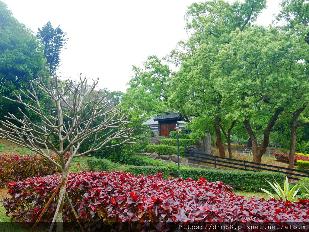 淡水免費景點,一滴水紀念館,滬尾砲台,日式建築濃濃日本味,IG打卡超好拍,淡水一日遊@瑪姬幸福過日子 @瑪姬幸福過日子