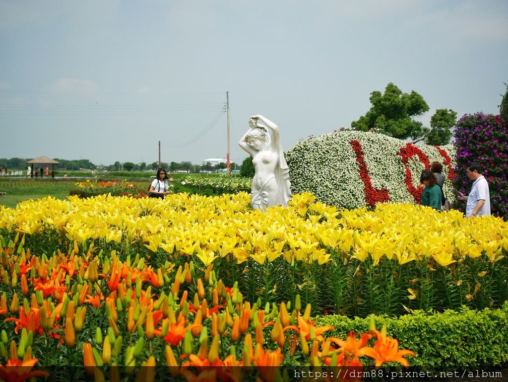 【台中旅遊景點】 中社觀光花市, 十三大IG必拍景點大公開！台中一年四季賞花景點,門票＠瑪姬幸福過日子 @瑪姬幸福過日子