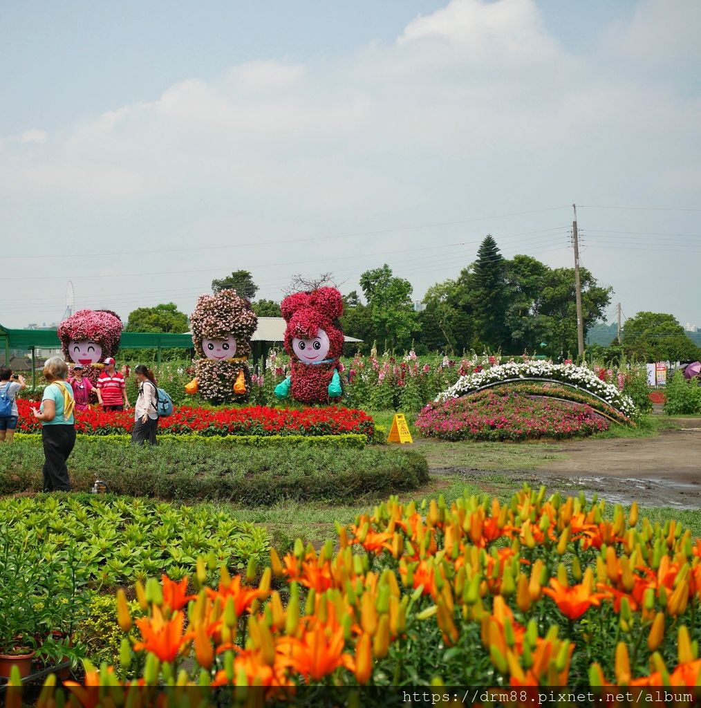 【台中旅遊景點】 中社觀光花市, 十三大IG必拍景點大公開！台中一年四季賞花景點,門票＠瑪姬幸福過日子 @瑪姬幸福過日子