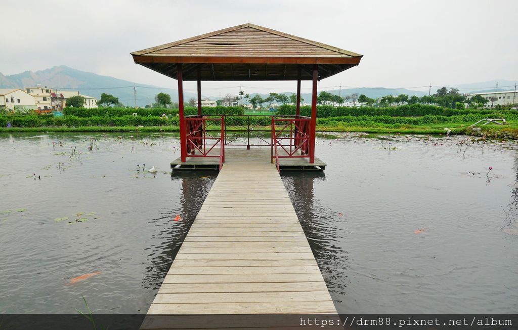 【台中旅遊景點】 中社觀光花市, 十三大IG必拍景點大公開！台中一年四季賞花景點,門票＠瑪姬幸福過日子 @瑪姬幸福過日子