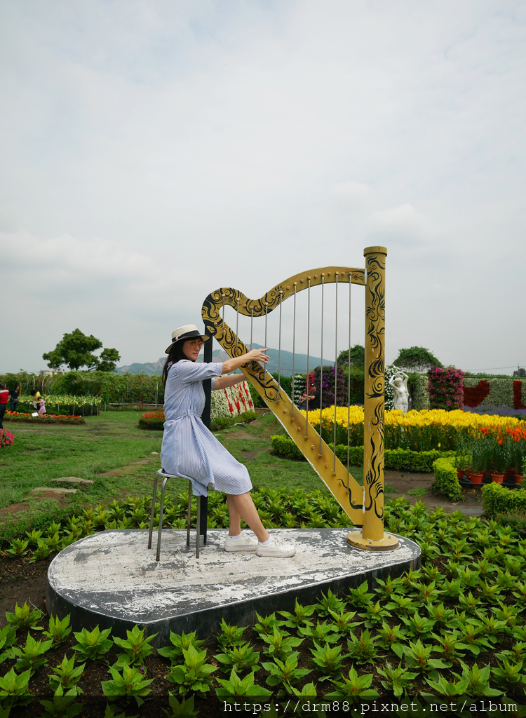 【台中旅遊景點】 中社觀光花市, 十三大IG必拍景點大公開！台中一年四季賞花景點,門票＠瑪姬幸福過日子 @瑪姬幸福過日子