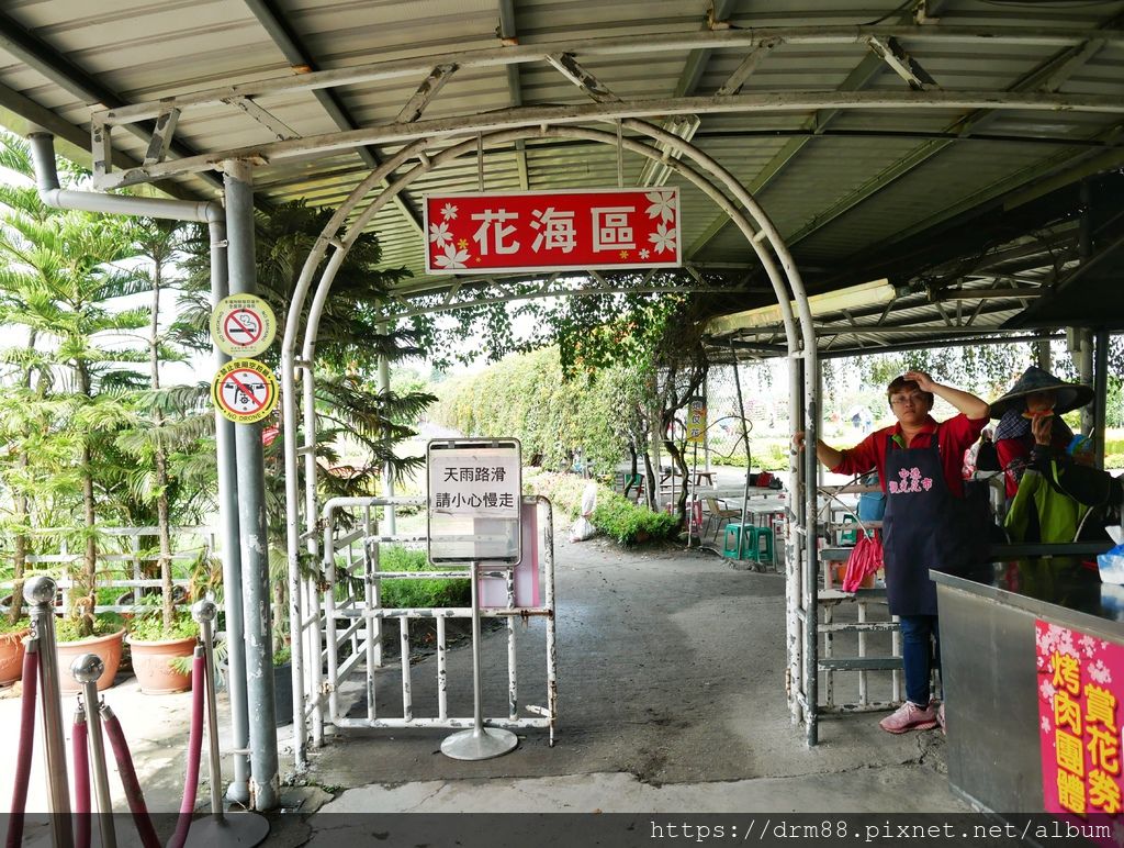 【台中旅遊景點】 中社觀光花市, 十三大IG必拍景點大公開！台中一年四季賞花景點,門票＠瑪姬幸福過日子 @瑪姬幸福過日子