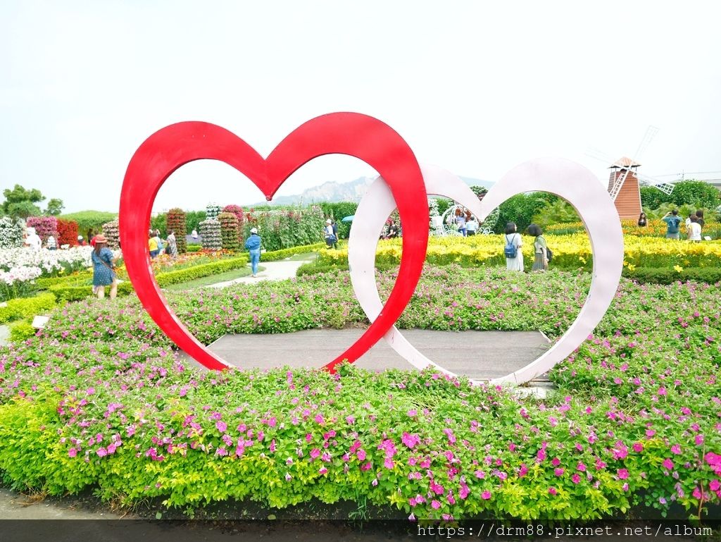 【台中旅遊景點】 中社觀光花市, 十三大IG必拍景點大公開！台中一年四季賞花景點,門票＠瑪姬幸福過日子 @瑪姬幸福過日子