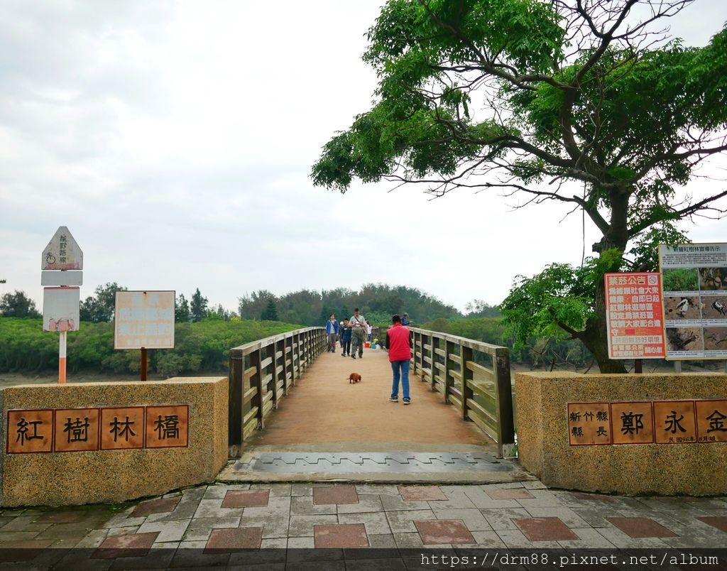 【新竹新豐景點】 新竹新豐紅樹林綠色步道, 新豐紅樹林生態園區, IG打卡景點, 親子遊樂景點,交通 ＠瑪姬幸福過日子 @瑪姬幸福過日子