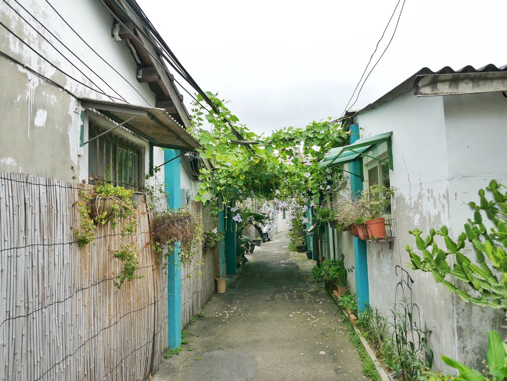 【新竹景點 】 立功社區，新竹彩繪村，網美懷舊風，還有樹屋老宅，飛行咖啡，免費IG景點，新竹東區將軍村對面＠瑪姬幸福過日子 @瑪姬幸福過日子