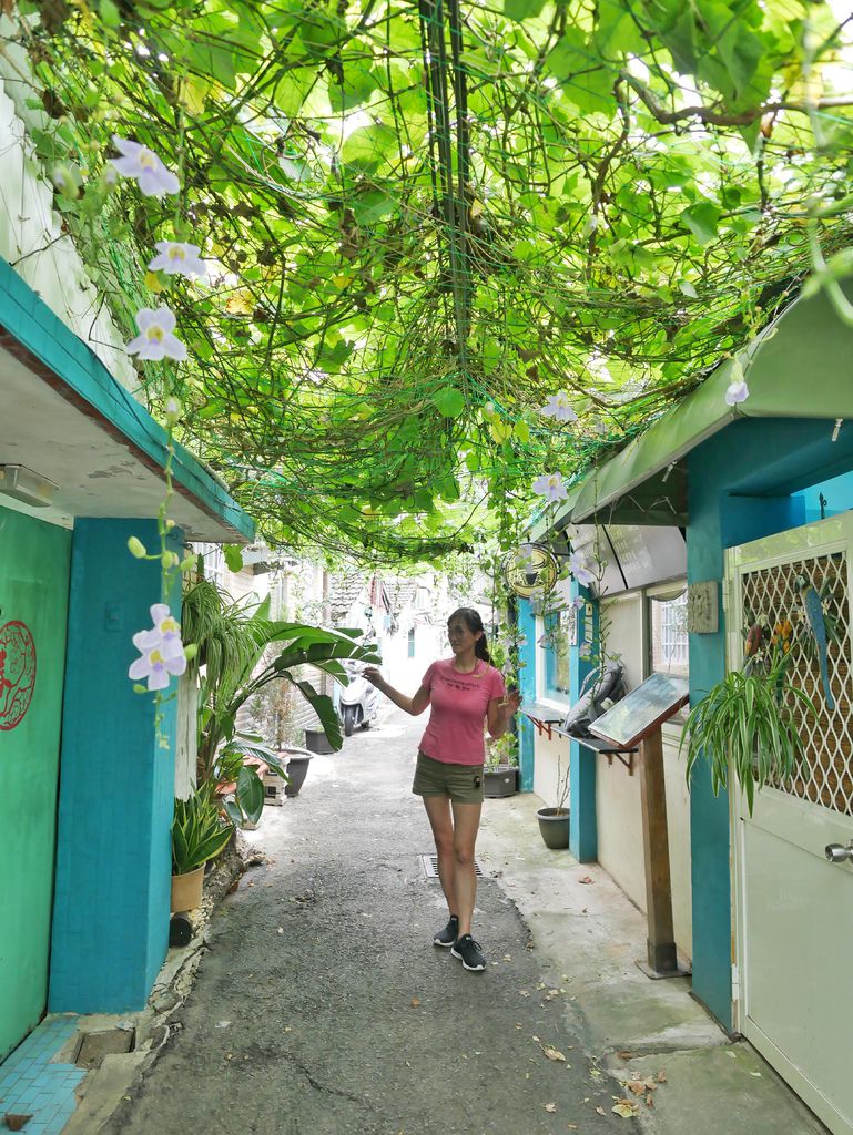 【新竹景點 】 立功社區，新竹彩繪村，網美懷舊風，還有樹屋老宅，飛行咖啡，免費IG景點，新竹東區將軍村對面＠瑪姬幸福過日子 @瑪姬幸福過日子