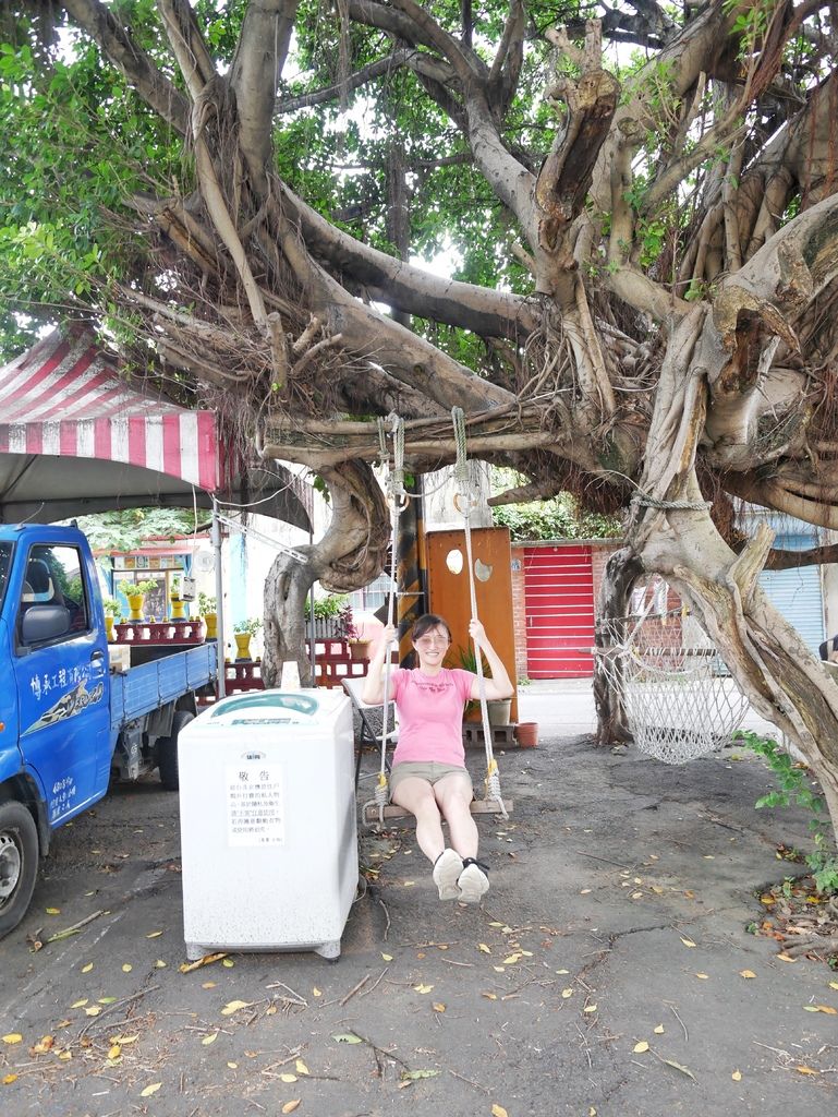 【新竹景點 】 立功社區，新竹彩繪村，網美懷舊風，還有樹屋老宅，飛行咖啡，免費IG景點，新竹東區將軍村對面＠瑪姬幸福過日子 @瑪姬幸福過日子