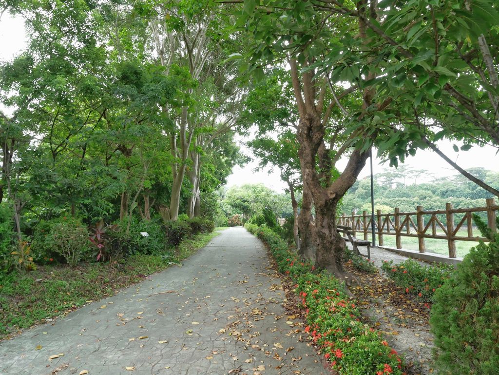 【花蓮景點】 花蓮將軍府，日式建築縣定古蹟，舊日式軍官宿舍，浴衣租借，免費IG打卡景點＠瑪姬幸福過日子 @瑪姬幸福過日子