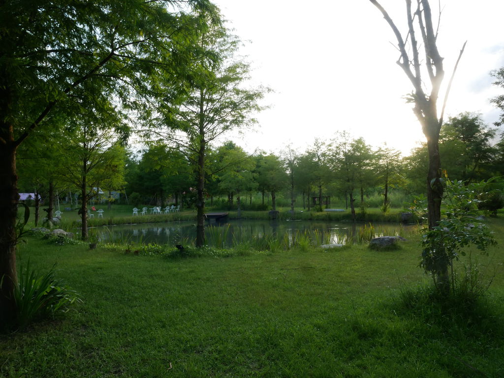 花蓮雲山水，超級夢幻的夢幻湖＋落羽松，昔日的秘境現在的IG爆紅景點 @瑪姬幸福過日子