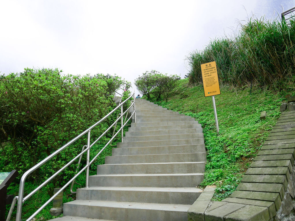 【台北陽明山步道】擎天崗大草原，擎天岡中央步道，環狀步道，人牛分道，交通，停車資訊＠瑪姬幸福過日子 @瑪姬幸福過日子