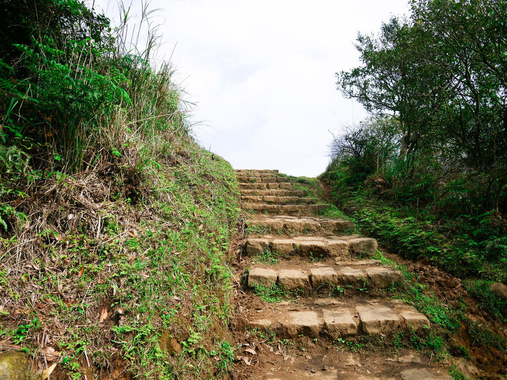 【台北陽明山步道】擎天崗大草原，擎天岡中央步道，環狀步道，人牛分道，交通，停車資訊＠瑪姬幸福過日子 @瑪姬幸福過日子