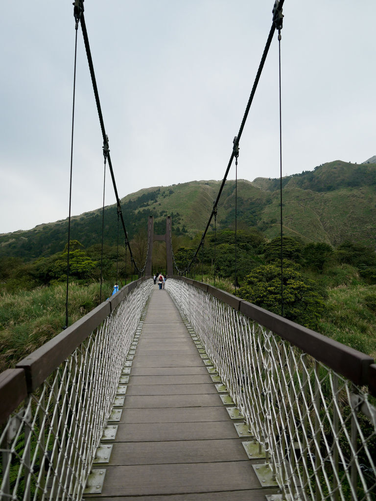 台北陽明山景點，冷水坑步道，菁山吊橋，生態池，牛奶湖，交通，停車，台北一日遊＠瑪姬幸福過日子 @瑪姬幸福過日子