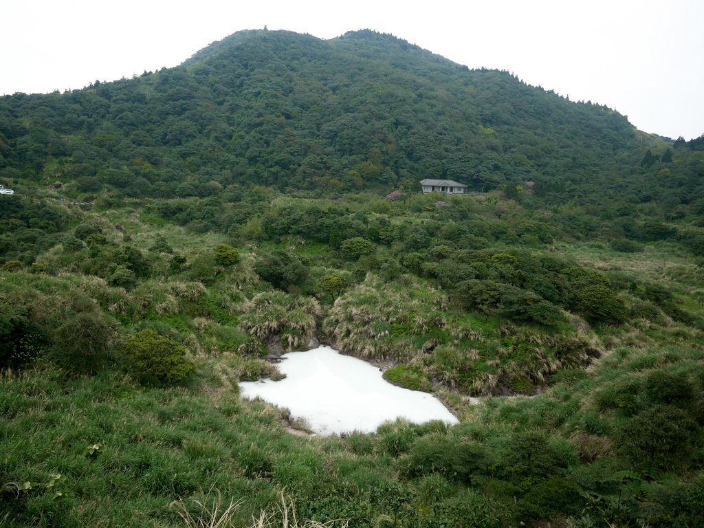 台北陽明山景點，冷水坑步道，菁山吊橋，生態池，牛奶湖，交通，停車，台北一日遊＠瑪姬幸福過日子 @瑪姬幸福過日子