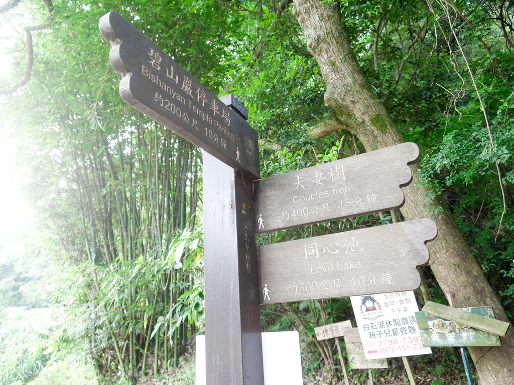 台北內湖景點｜白石湖吊橋一日遊，草莓園，同心池，夫妻樹，白石湖休閒園區步道，交通 @瑪姬幸福過日子