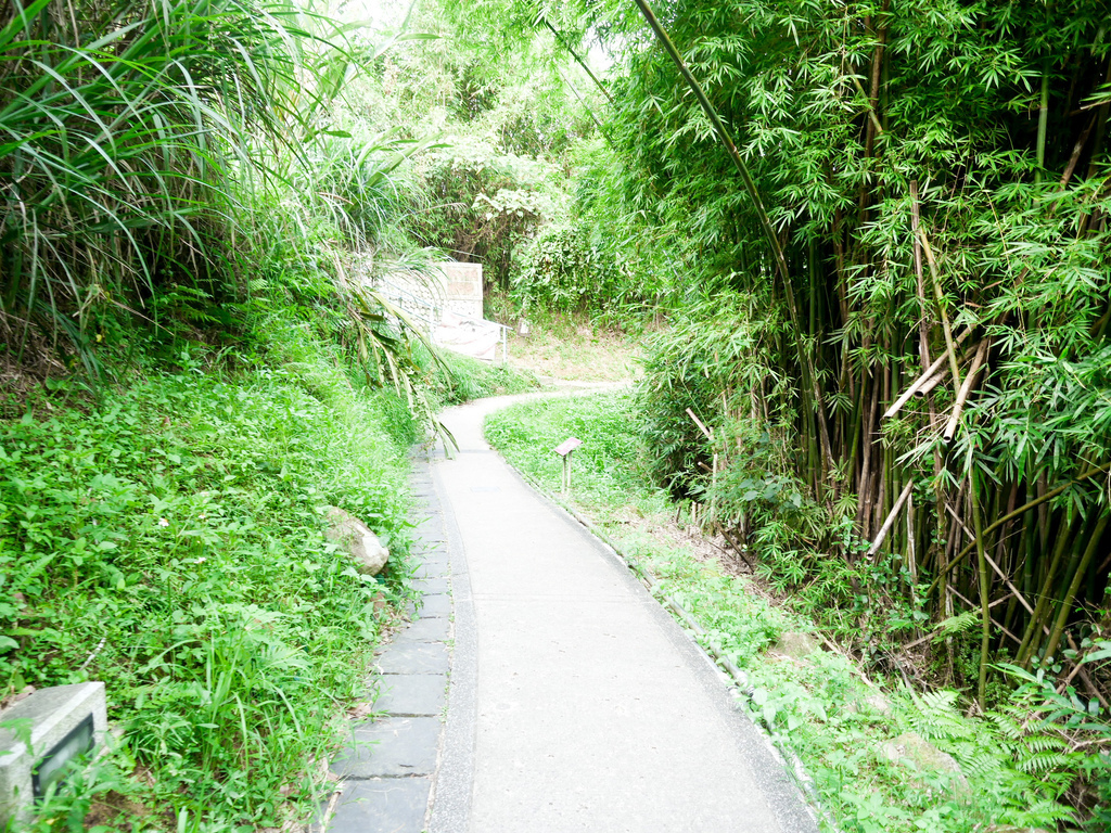 台北內湖景點｜白石湖吊橋一日遊，草莓園，同心池，夫妻樹，白石湖休閒園區步道，交通 @瑪姬幸福過日子