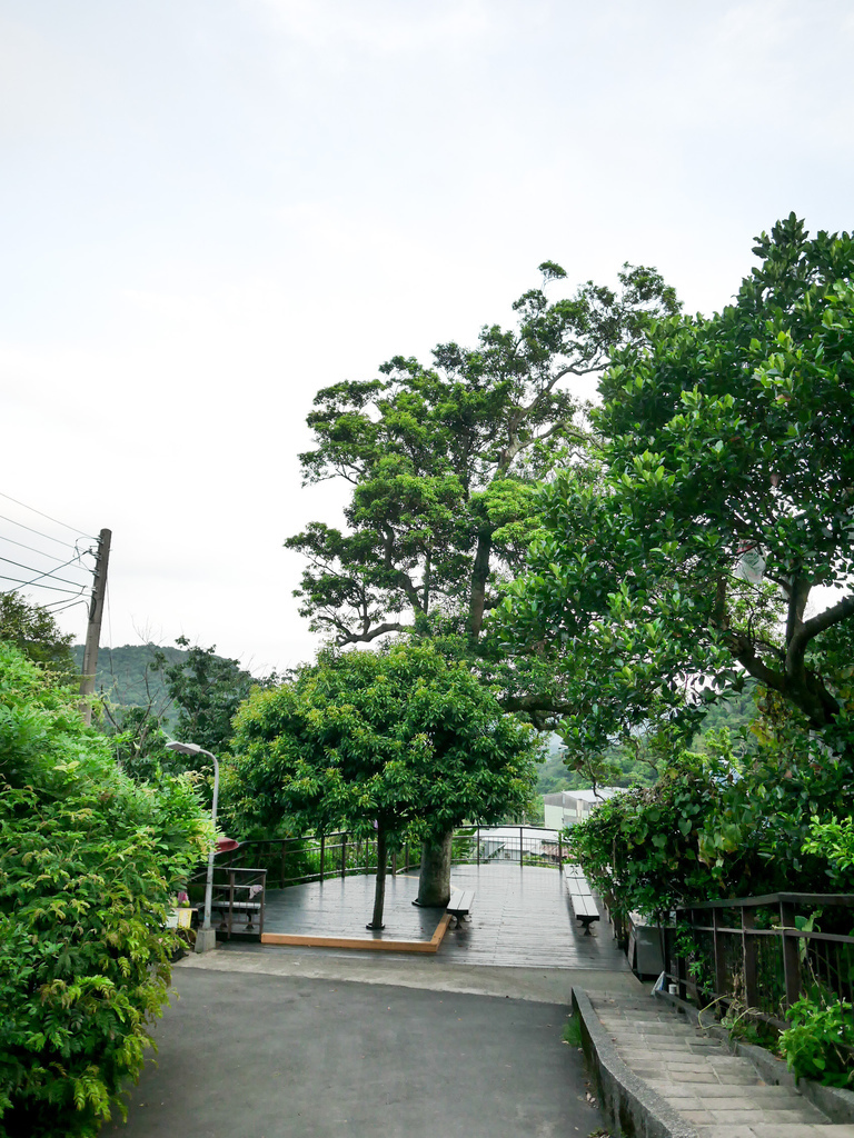 台北內湖景點｜白石湖吊橋一日遊，草莓園，同心池，夫妻樹，白石湖休閒園區步道，交通 @瑪姬幸福過日子