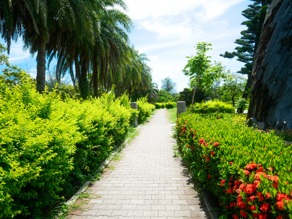 台東景點｜台東森林公園，台東必遊琵琶湖，黑森林海濱公園，自行車遊公園，IG打卡景點，門票資訊，交通 @瑪姬幸福過日子