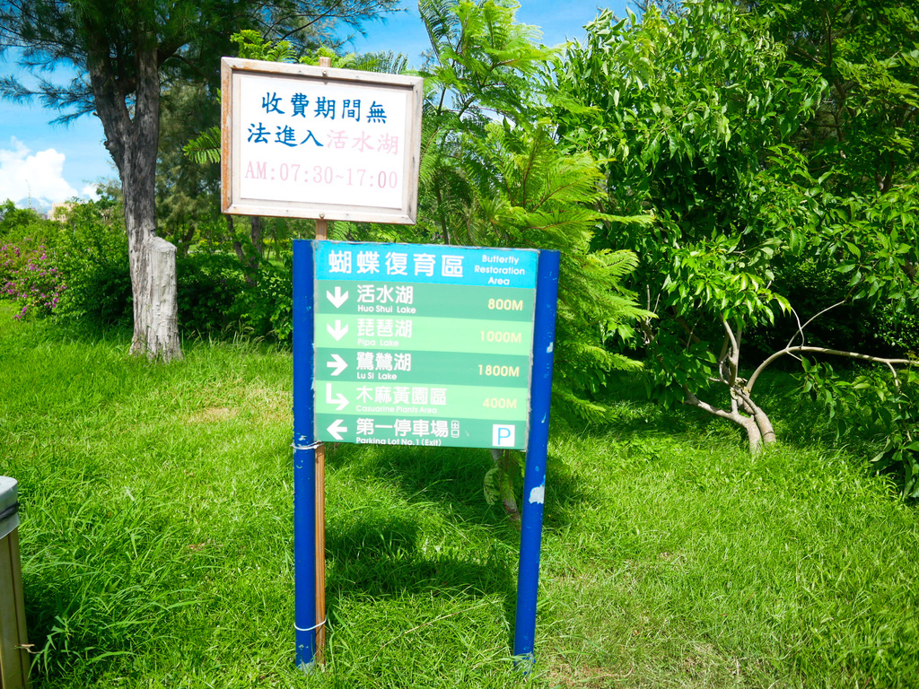 台東景點｜台東森林公園，台東必遊琵琶湖，黑森林海濱公園，自行車遊公園，IG打卡景點，門票資訊，交通 @瑪姬幸福過日子