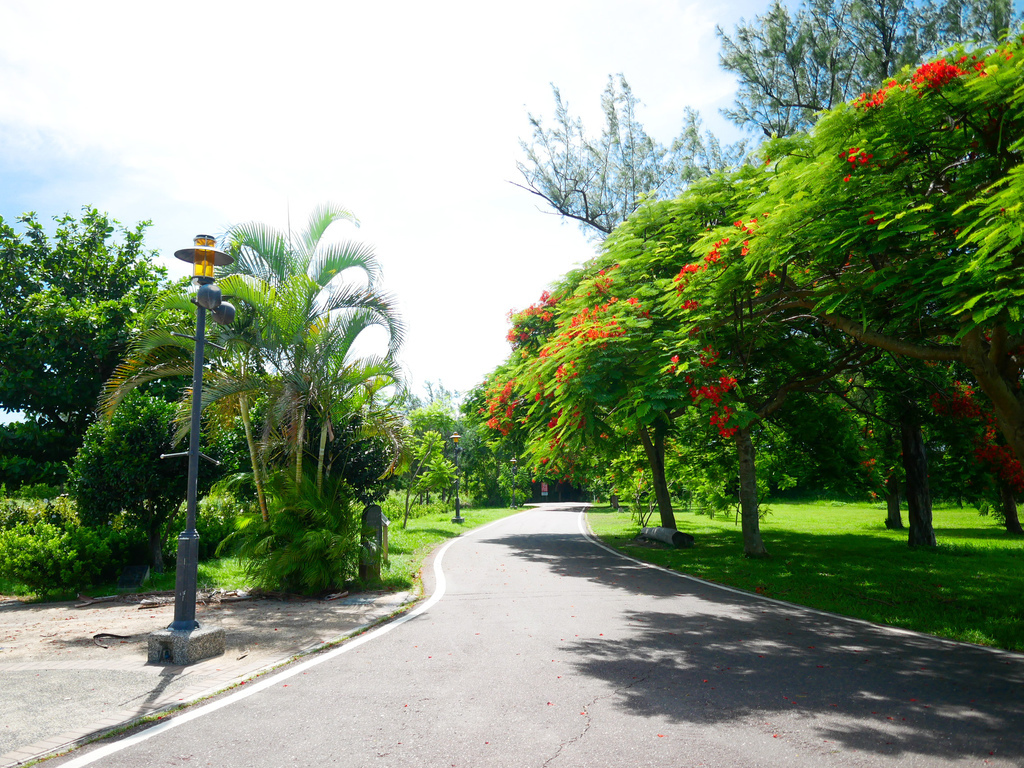 台東景點｜台東森林公園，台東必遊琵琶湖，黑森林海濱公園，自行車遊公園，IG打卡景點，門票資訊，交通 @瑪姬幸福過日子