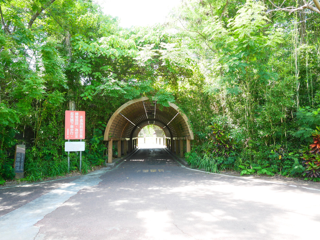 台東景點｜台東森林公園，台東必遊琵琶湖，黑森林海濱公園，自行車遊公園，IG打卡景點，門票資訊，交通 @瑪姬幸福過日子