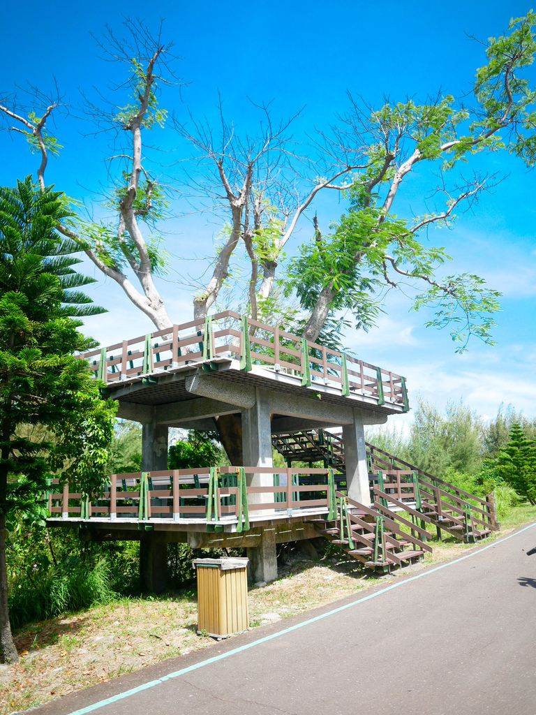 台東景點｜台東森林公園，台東必遊琵琶湖，黑森林海濱公園，自行車遊公園，IG打卡景點，門票資訊，交通 @瑪姬幸福過日子