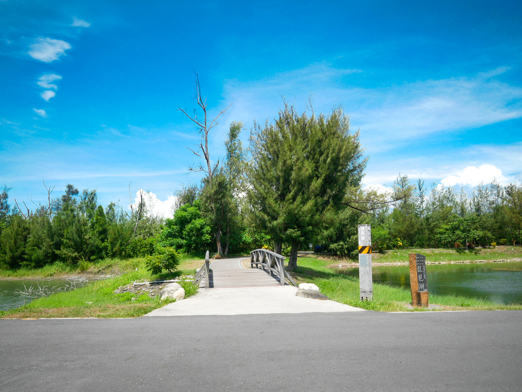 台東景點｜台東森林公園，台東必遊琵琶湖，黑森林海濱公園，自行車遊公園，IG打卡景點，門票資訊，交通 @瑪姬幸福過日子