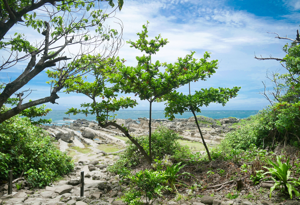 台東景點｜小野柳，台東台11線東海岸景點，天然石雕公園，IG打卡熱門景點 @瑪姬幸福過日子