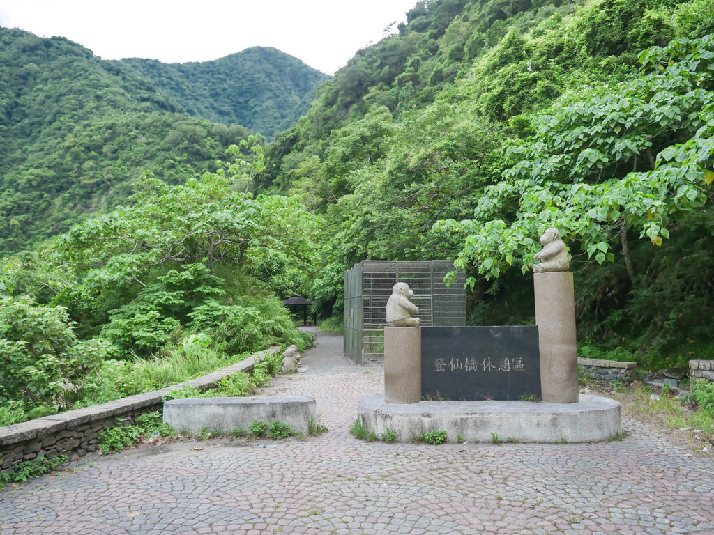 台東景點｜泰源幽谷，登仙橋休憩區，台東東河鄉，台灣獼猴樂園，世外桃源 @瑪姬幸福過日子