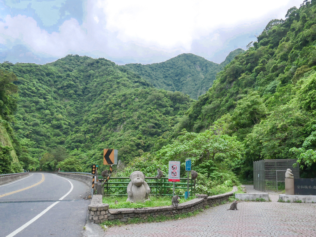 台東景點｜泰源幽谷，登仙橋休憩區，台東東河鄉，台灣獼猴樂園，世外桃源 @瑪姬幸福過日子