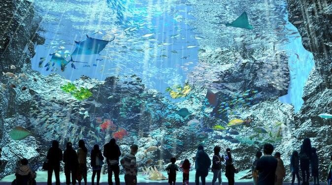 桃園Xpark水族館最新攻略｜必看四大展區、優惠門票、時間、交通停車 @瑪姬幸福過日子