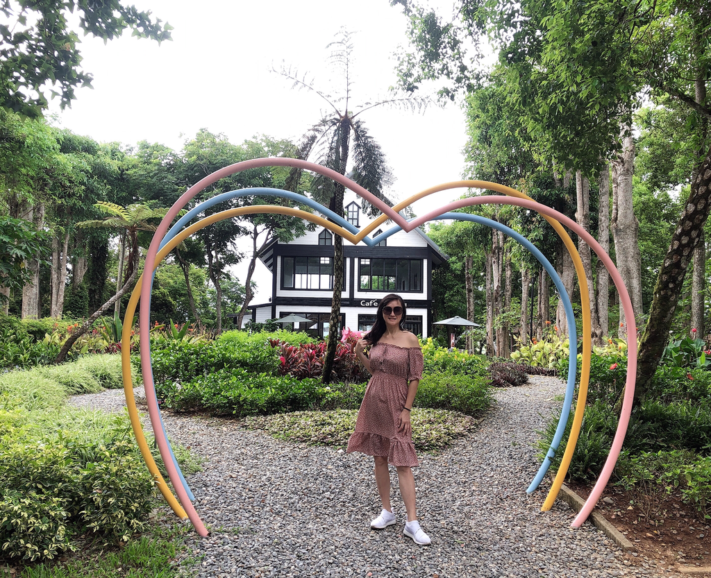 台東景點｜初鹿牧場，全台最大坡地牧場，餵羊吃草，騎馬，滑草，還有超級好吃的鮮奶，霜淇淋，台東親子景點 @瑪姬幸福過日子