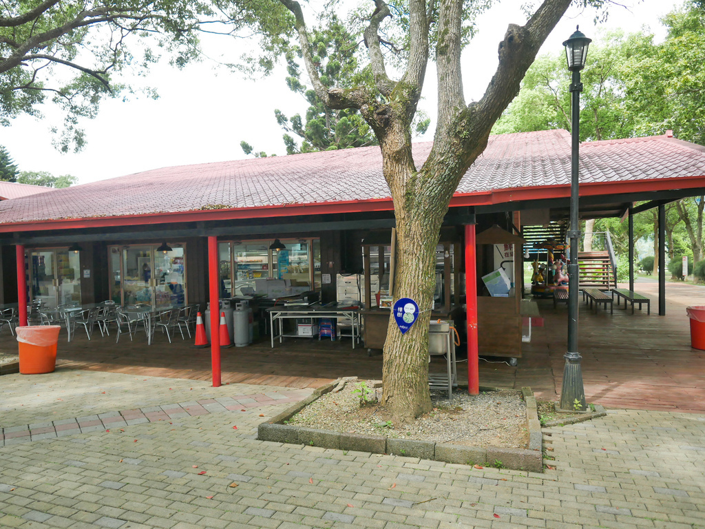 台東景點｜初鹿牧場，全台最大坡地牧場，餵羊吃草，騎馬，滑草，還有超級好吃的鮮奶，霜淇淋，台東親子景點 @瑪姬幸福過日子