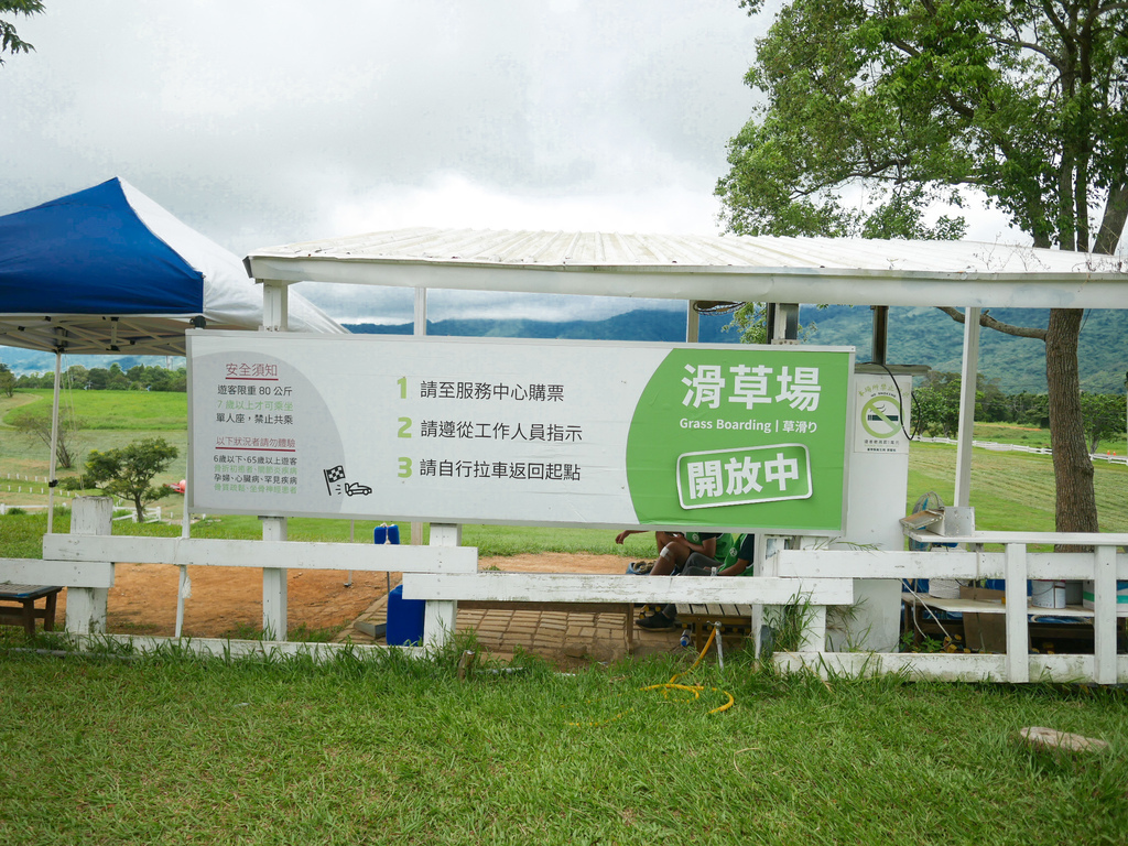 台東景點｜初鹿牧場，全台最大坡地牧場，餵羊吃草，騎馬，滑草，還有超級好吃的鮮奶，霜淇淋，台東親子景點 @瑪姬幸福過日子