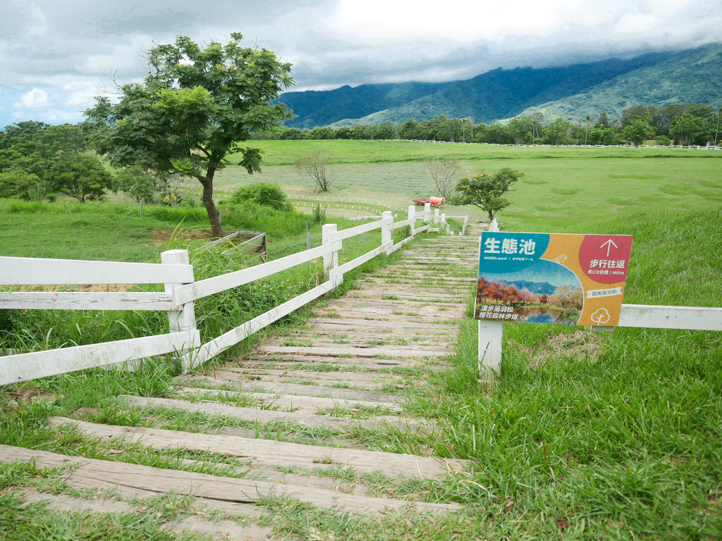 台東景點｜初鹿牧場，全台最大坡地牧場，餵羊吃草，騎馬，滑草，還有超級好吃的鮮奶，霜淇淋，台東親子景點 @瑪姬幸福過日子