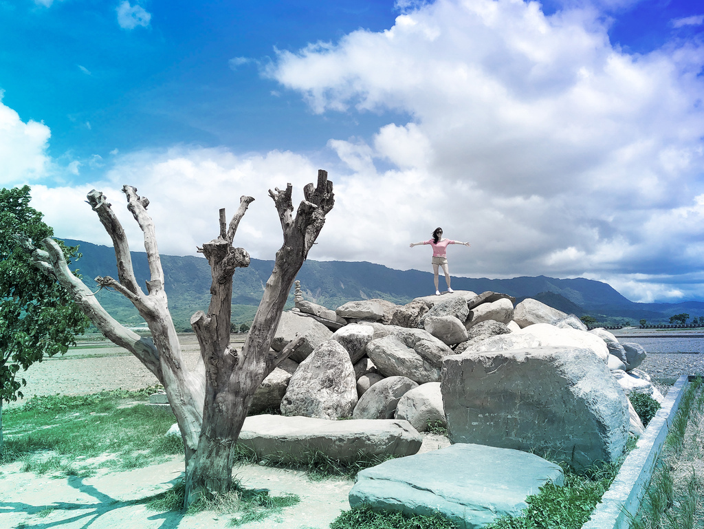 台東景點｜台東池上伯朗大道，金城武樹，IG打卡熱門景點，天堂路，綠油油的稻田超療癒＠瑪姬幸福過日子 @瑪姬幸福過日子