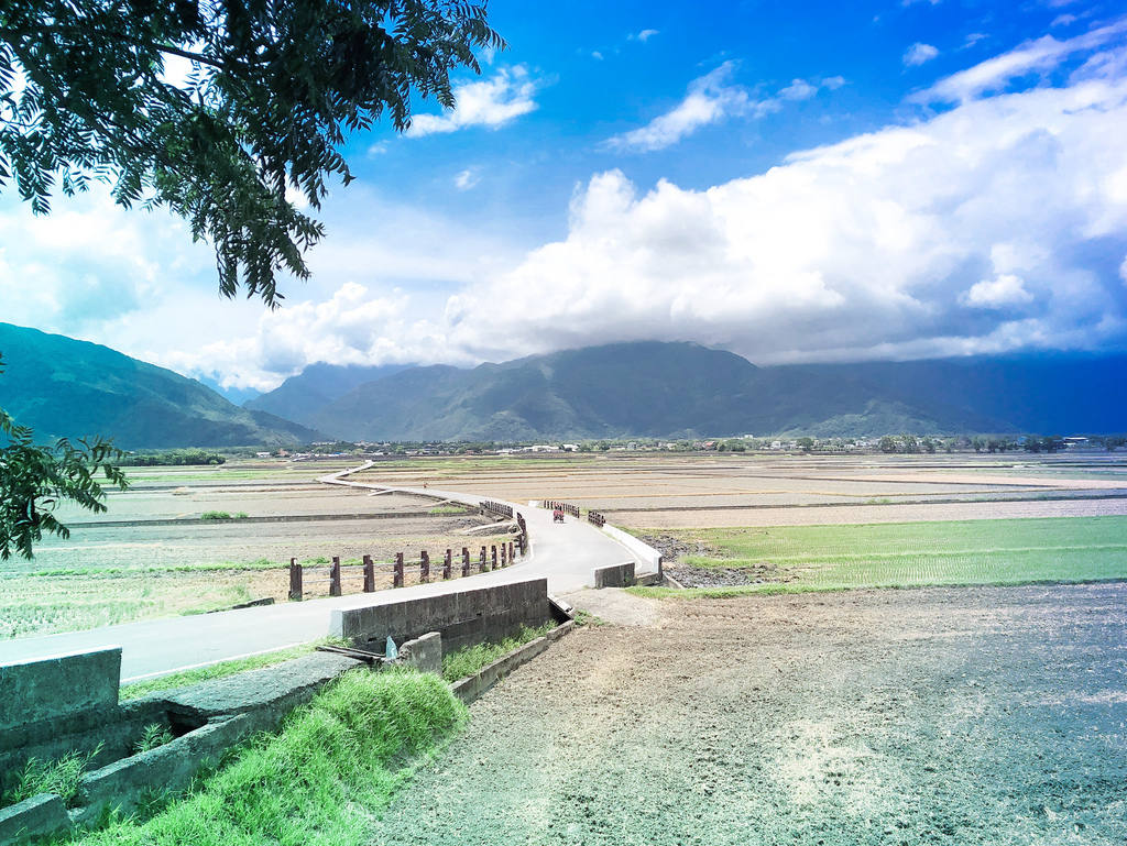 台東景點｜台東池上伯朗大道，金城武樹，IG打卡熱門景點，天堂路，綠油油的稻田超療癒＠瑪姬幸福過日子 @瑪姬幸福過日子