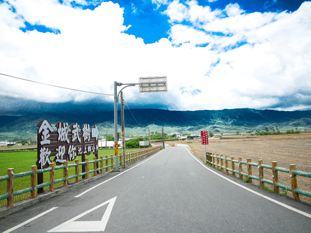 台東景點｜台東池上伯朗大道，金城武樹，IG打卡熱門景點，天堂路，綠油油的稻田超療癒＠瑪姬幸福過日子 @瑪姬幸福過日子