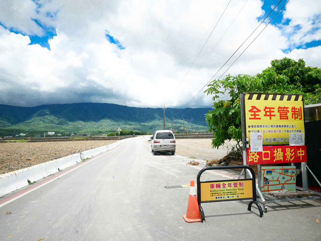 台東景點｜台東池上伯朗大道，金城武樹，IG打卡熱門景點，天堂路，綠油油的稻田超療癒＠瑪姬幸福過日子 @瑪姬幸福過日子