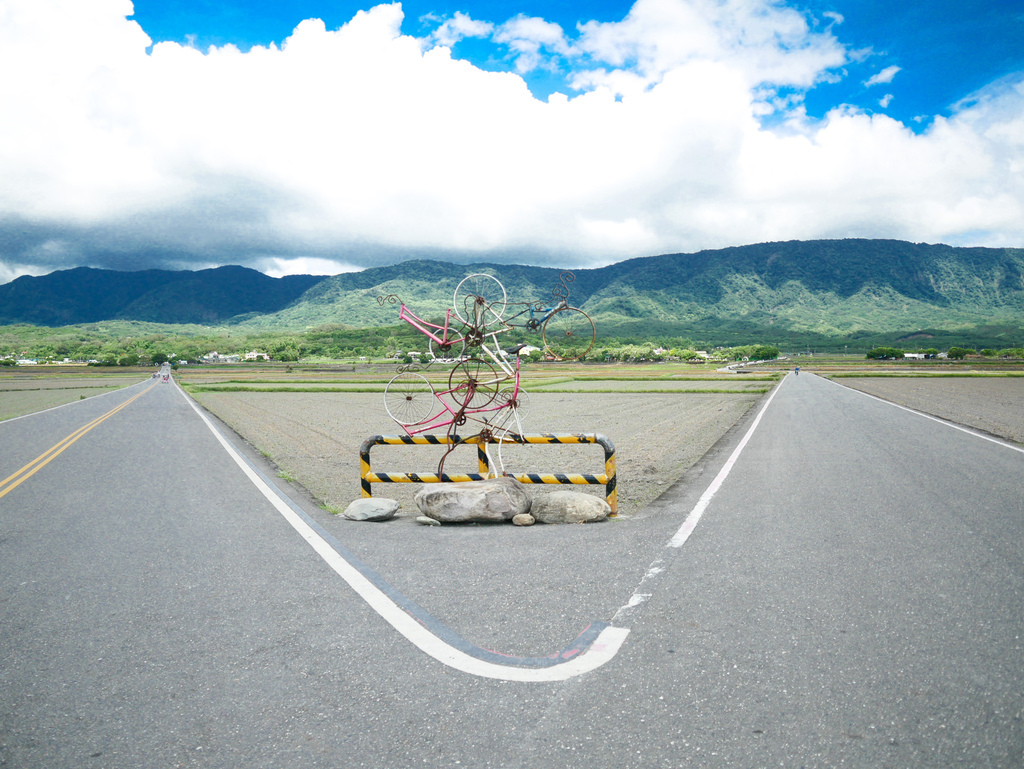 台東景點｜台東池上伯朗大道，金城武樹，IG打卡熱門景點，天堂路，綠油油的稻田超療癒＠瑪姬幸福過日子 @瑪姬幸福過日子